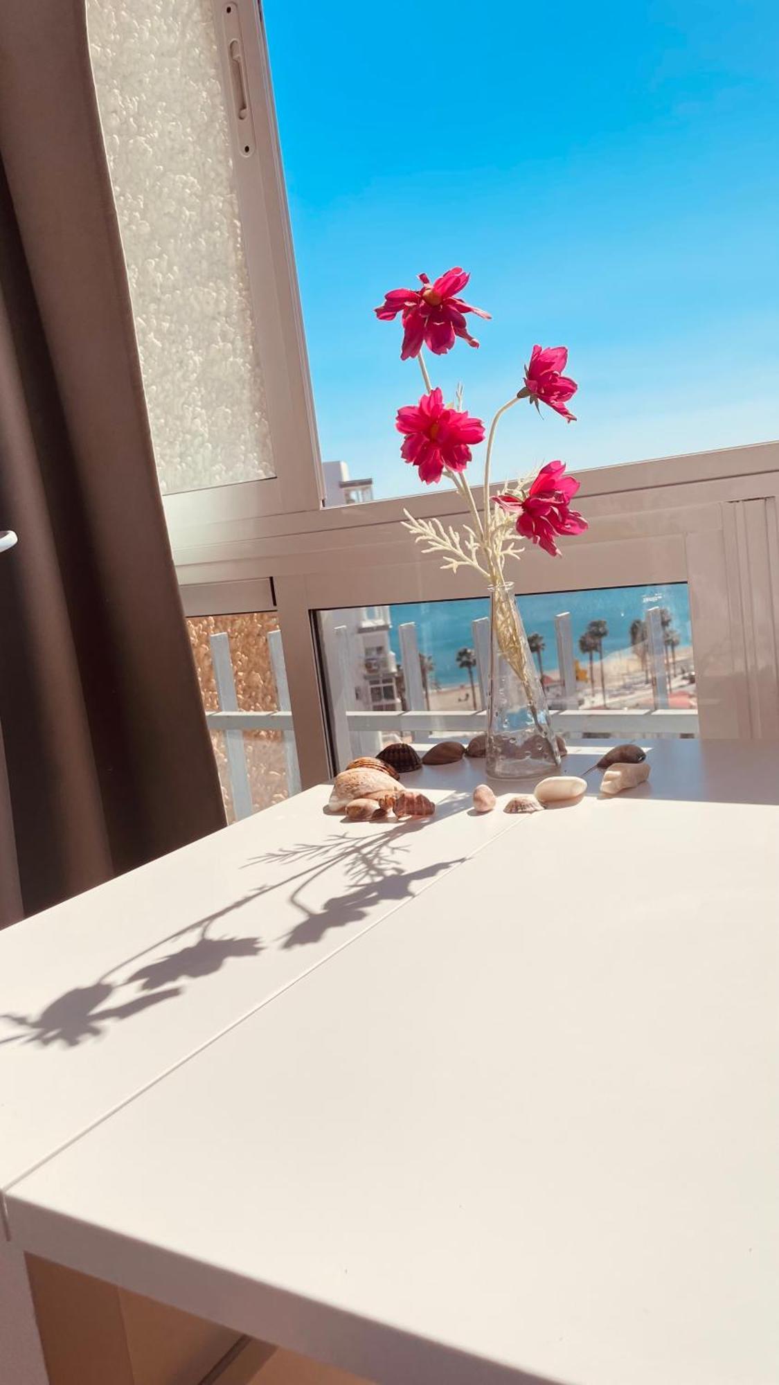 Bed and breakfast ,apartamento-estudio Primera Línea De Playa *