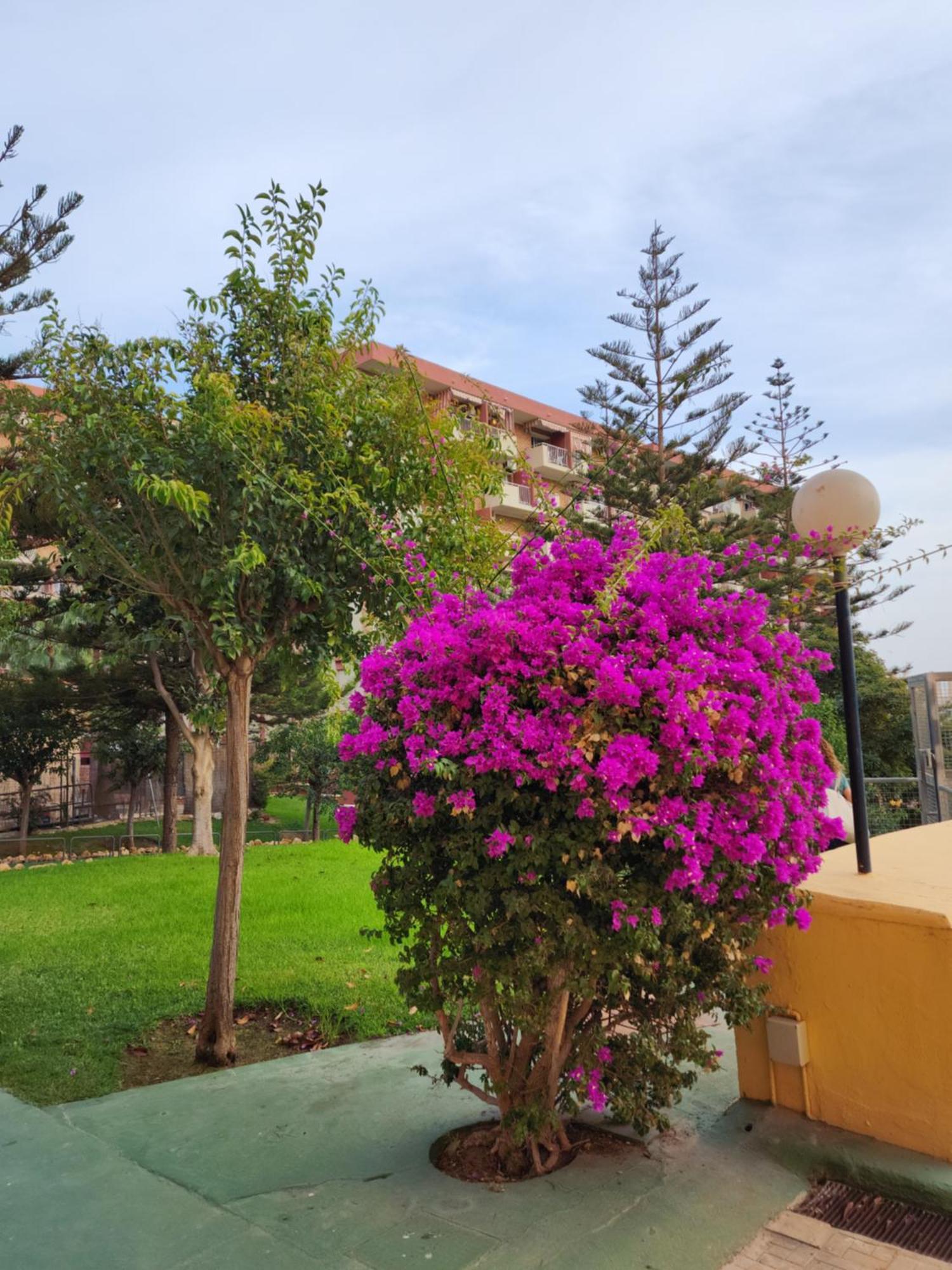 Appartement Minerva 401 Estudio Con Gran Piscina Y Parque Acuatico