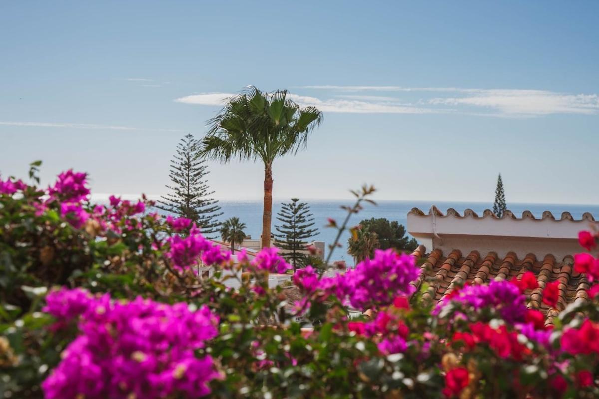 Casa Brita - With Private Pool Apartment