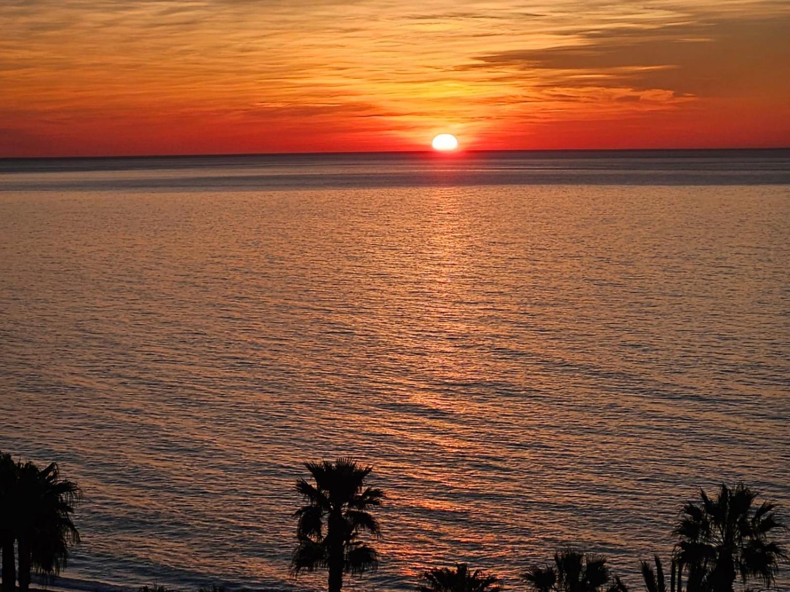 Aloha Vibe Benalmadena