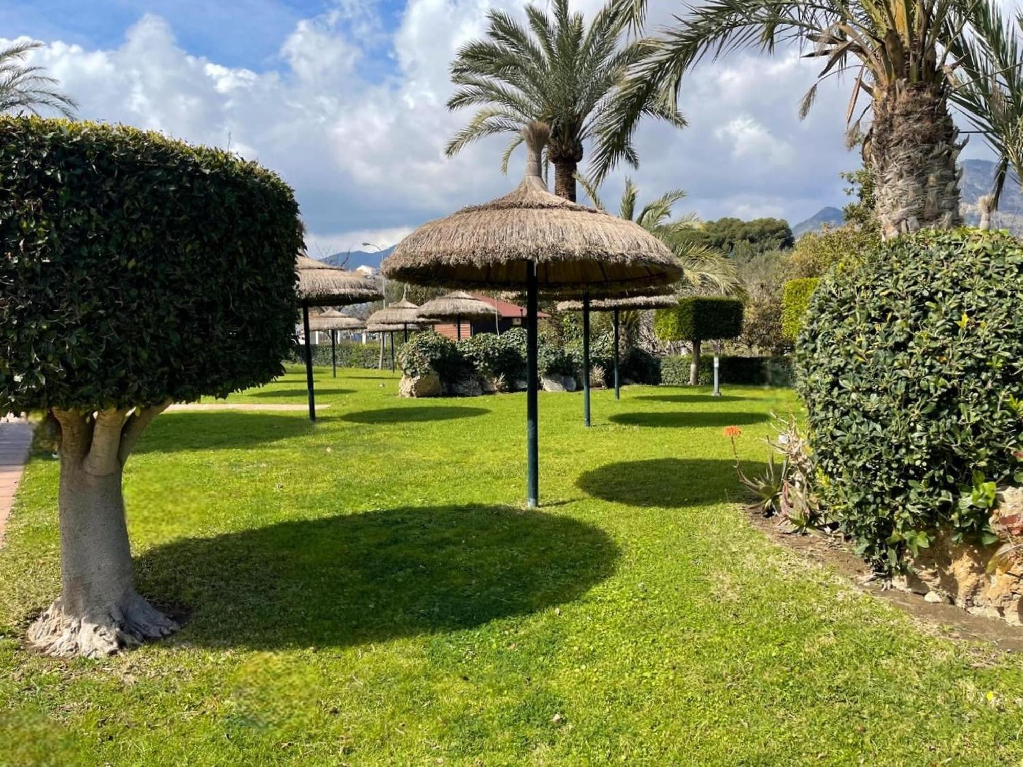 With And Garden Views
