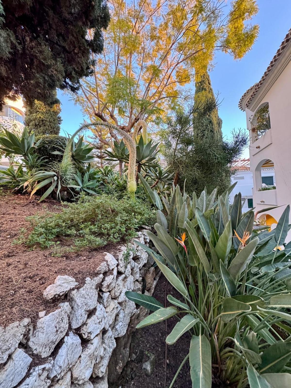 Apartment Cactus Benalmadena