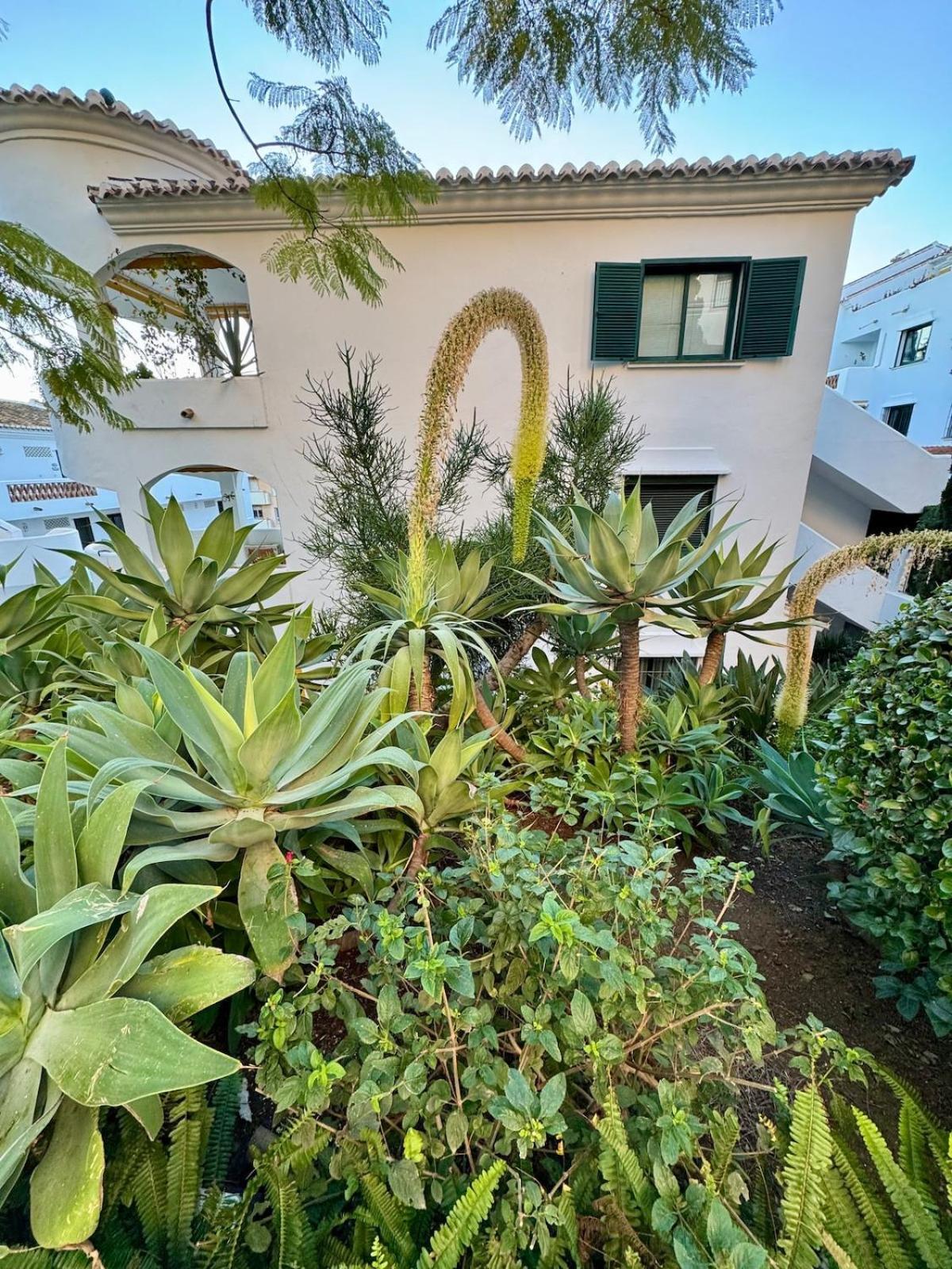 Cactus Apartment *