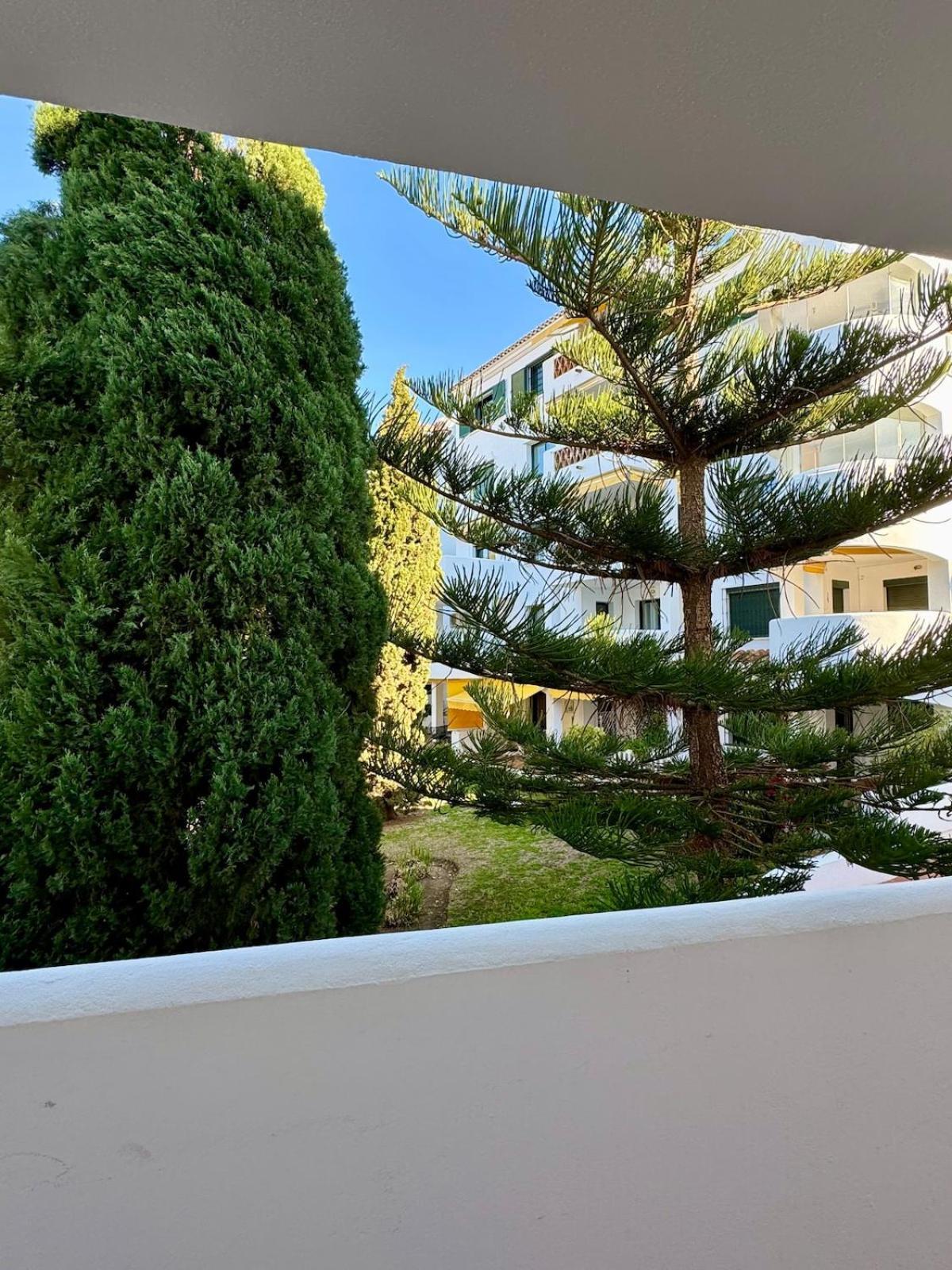 Cactus Apartamento