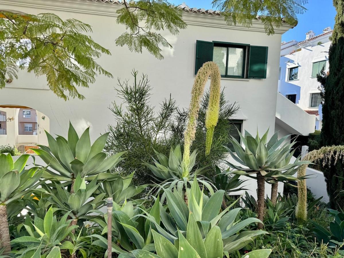 Apartment Cactus *