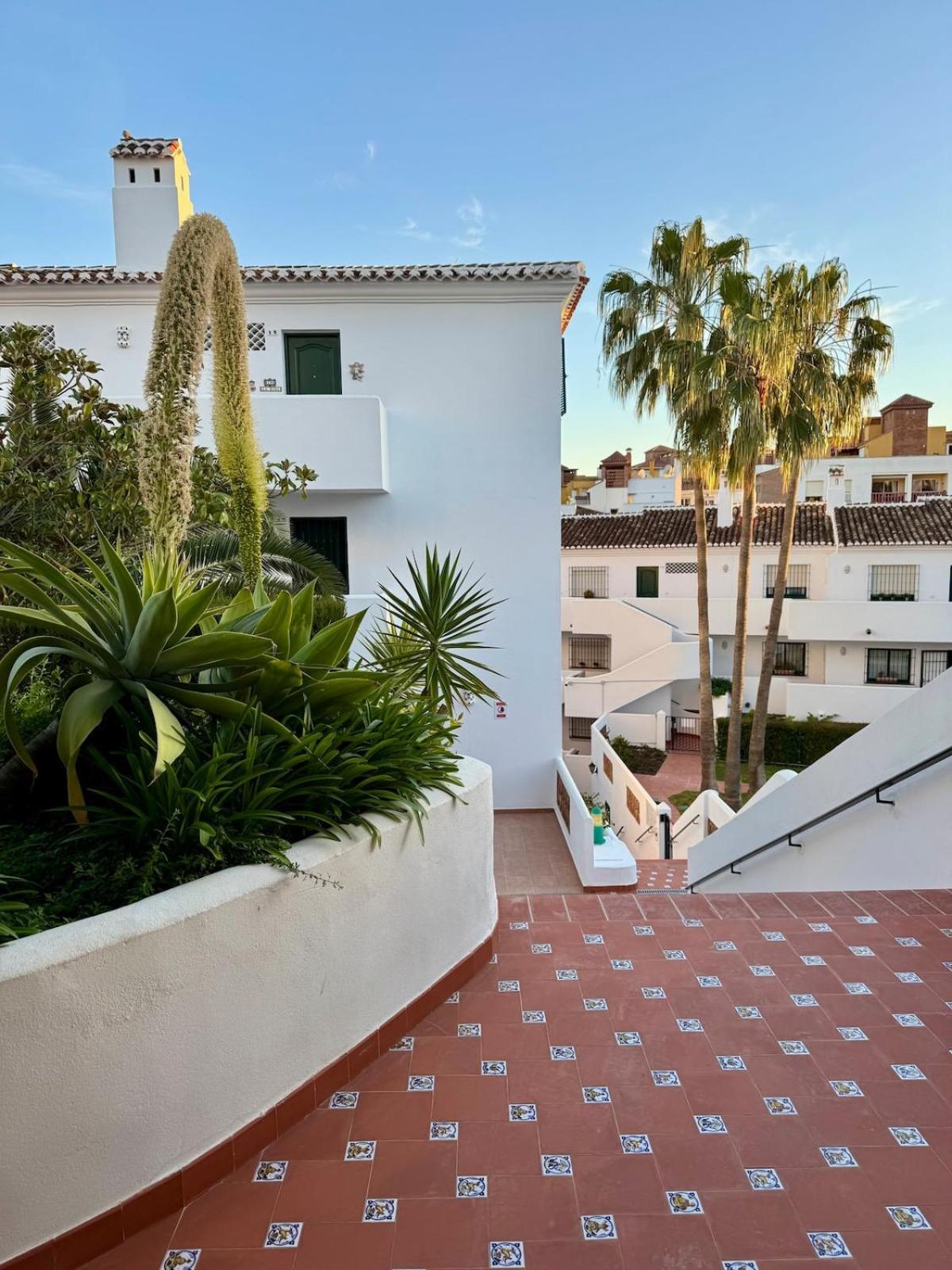 Apartamento Cactus *