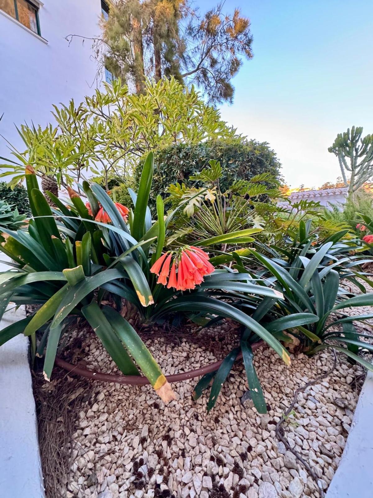 Cactus Apartment *