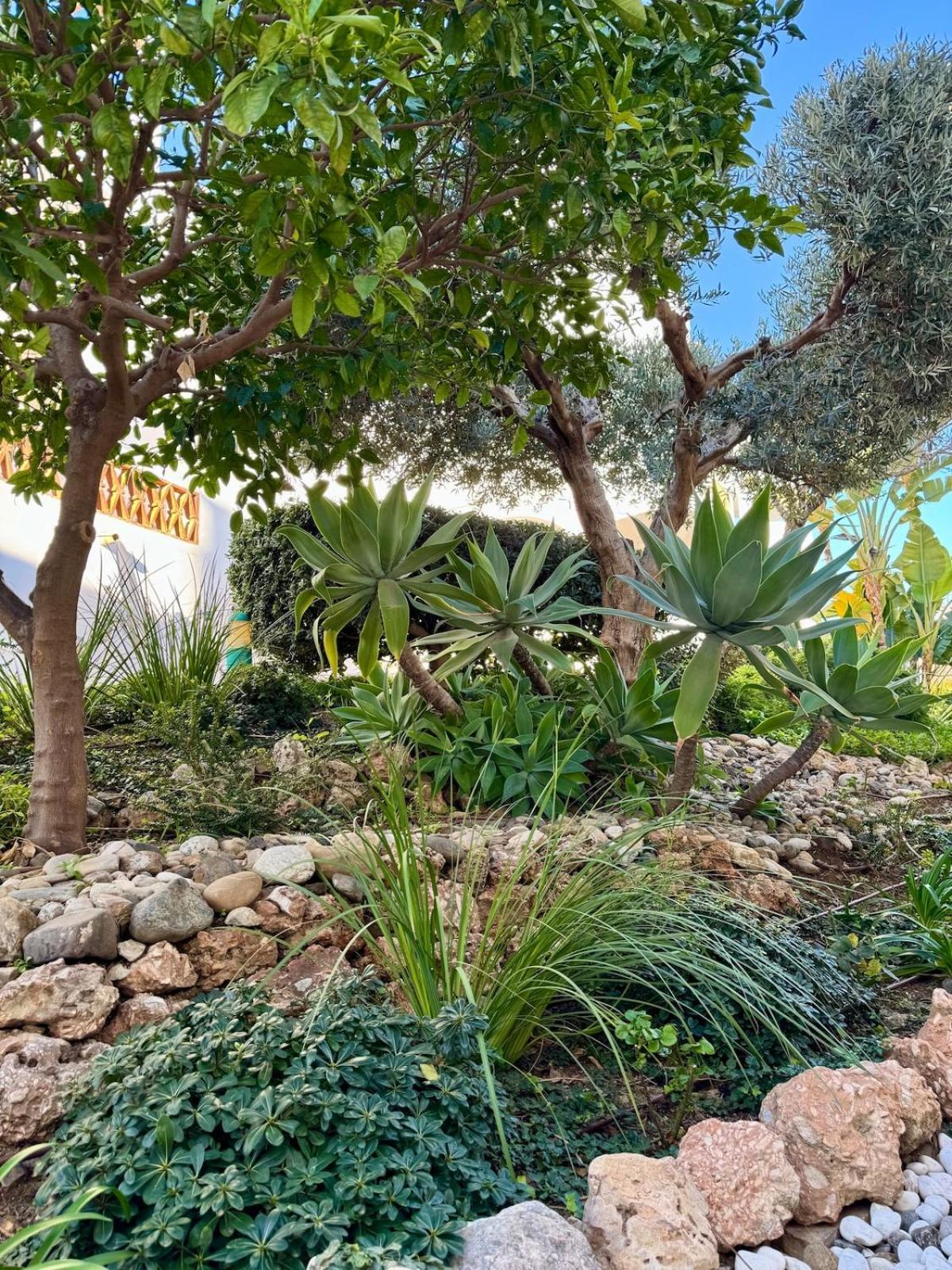 Apartment Cactus *