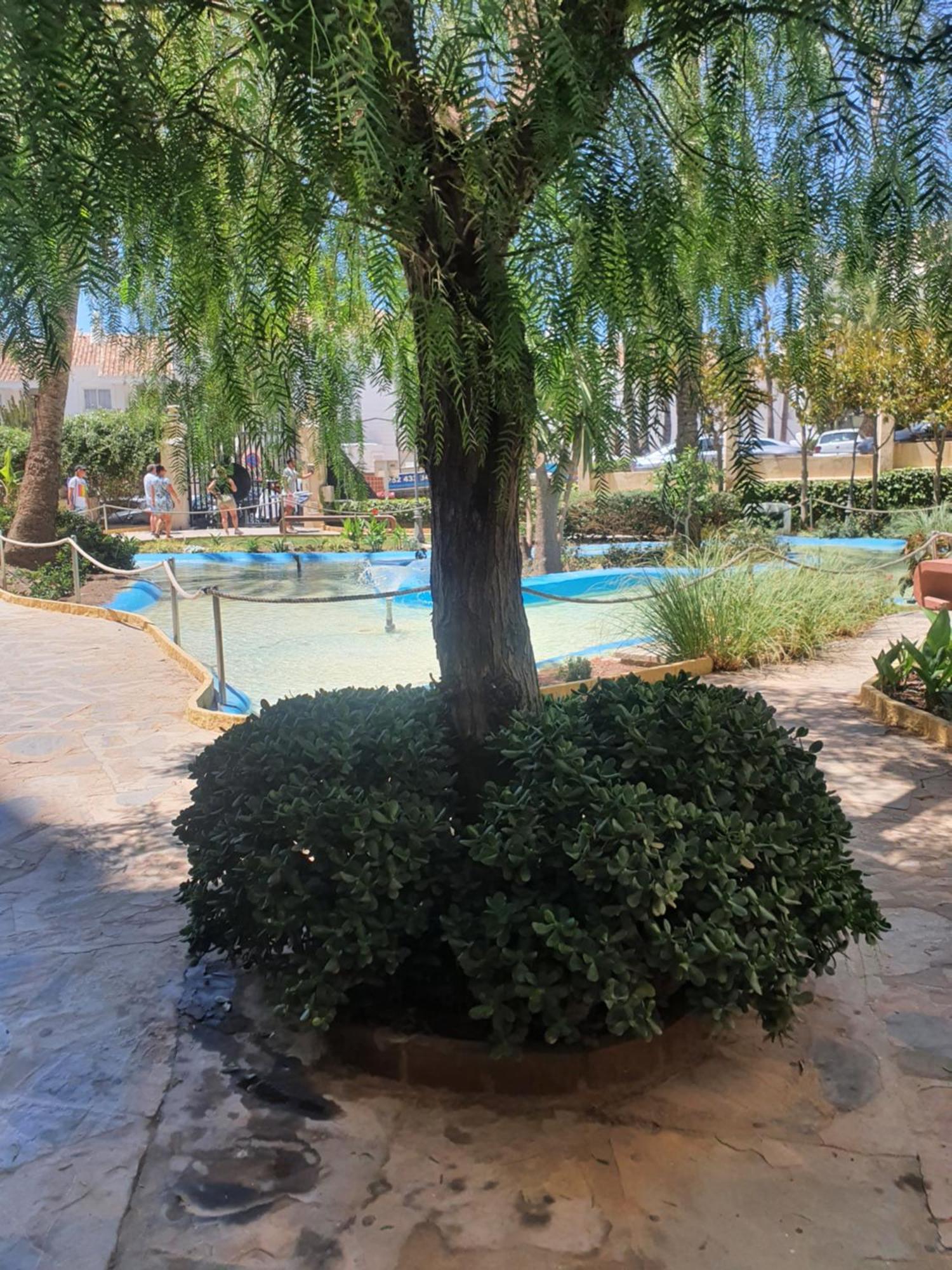 Apartment Benalbeach Playa