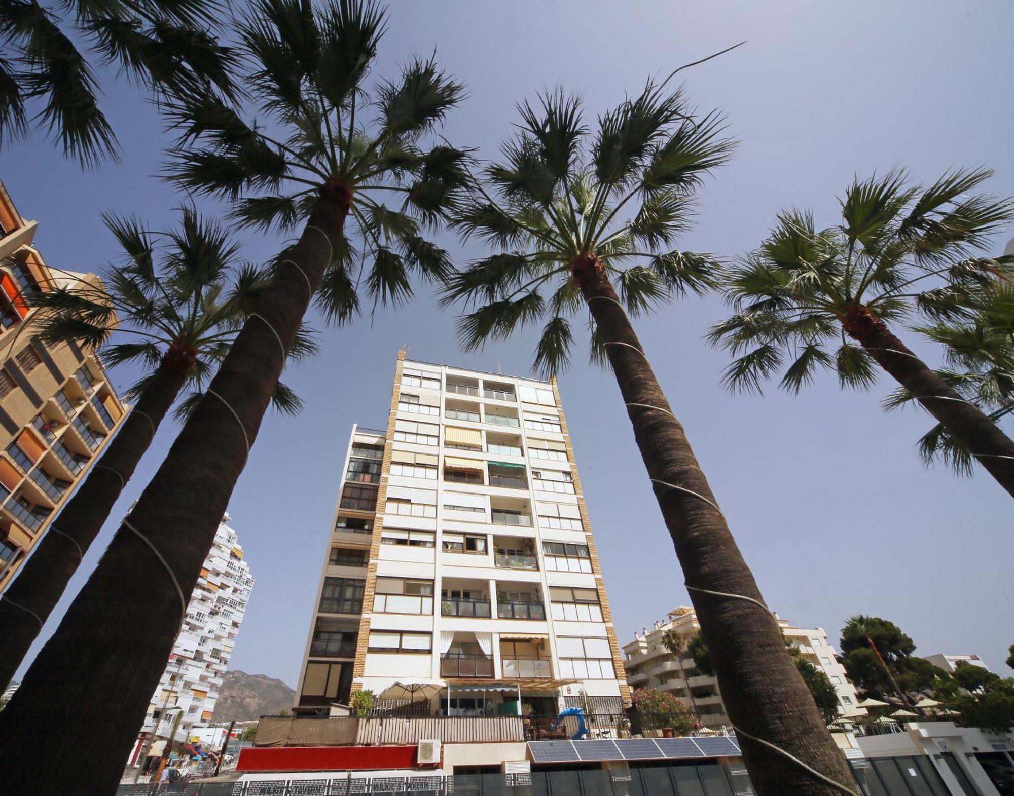 Apartment Alay Nearby