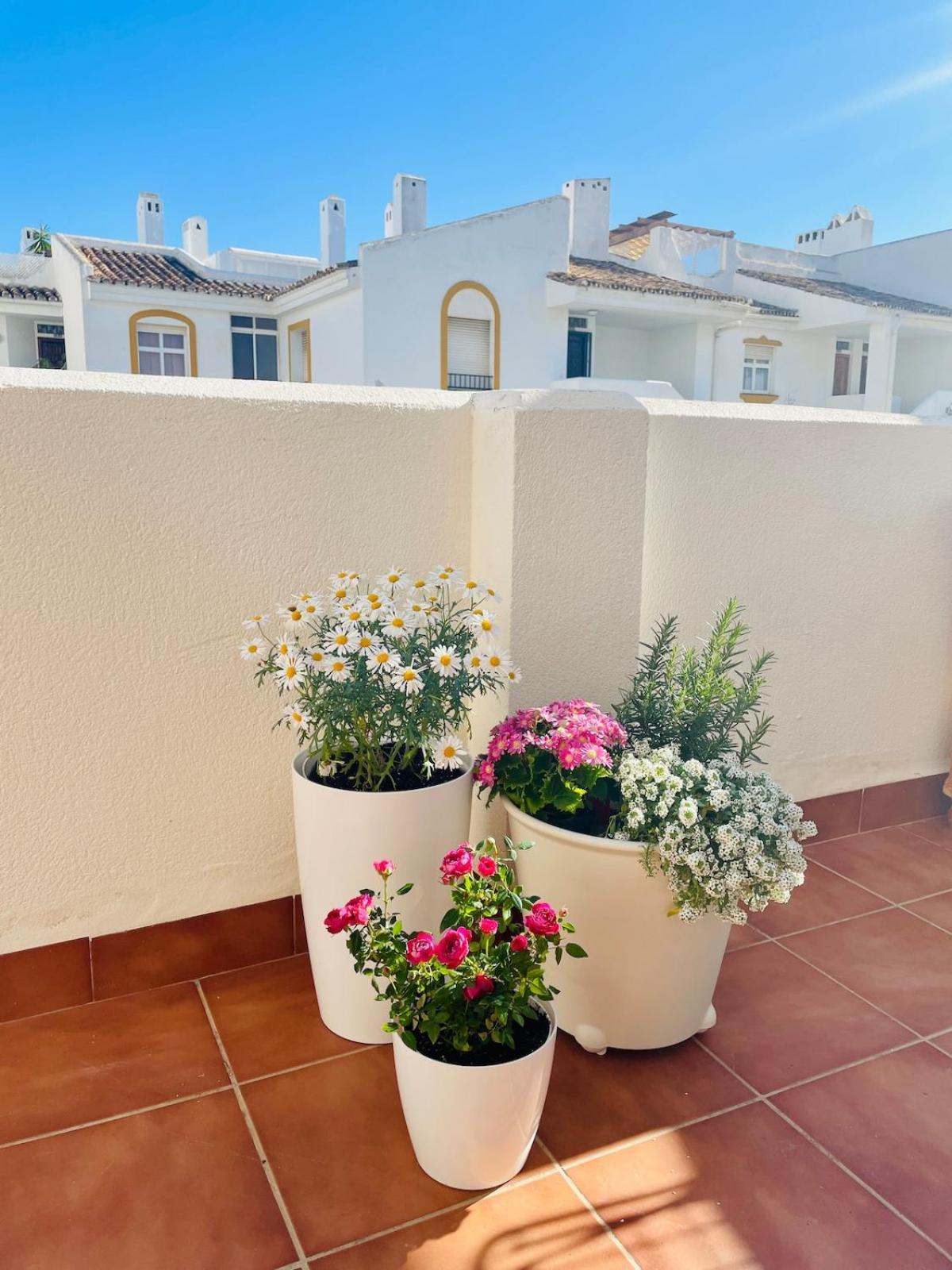 Costa Del Sol Marina Apartment *