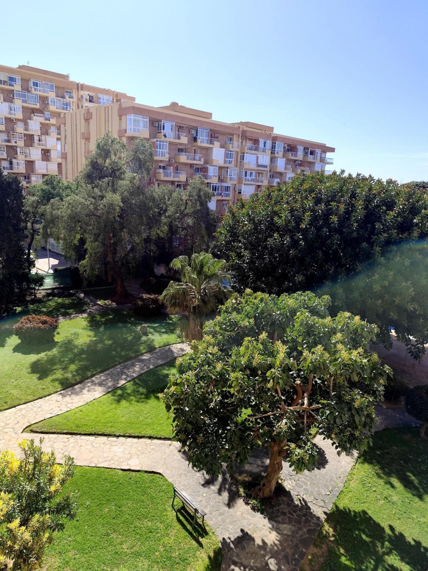 Alma Apartment