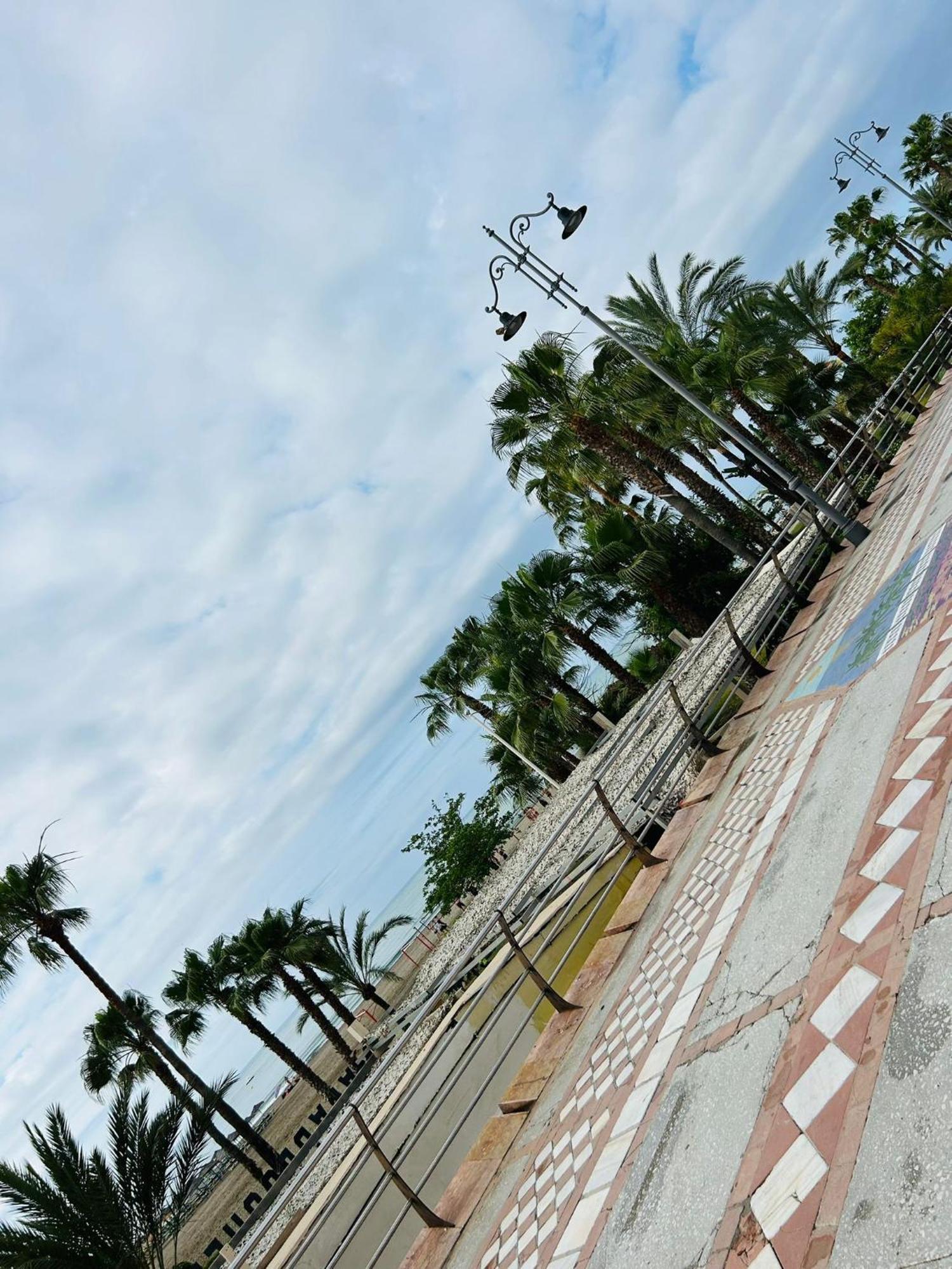 Apartment Beachfront Diana 2