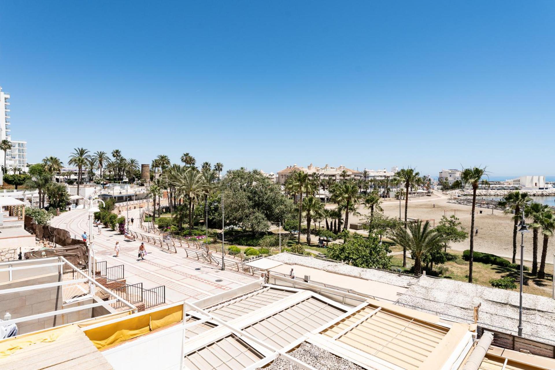 Ct 388 - Faro's Carihulela - Ole Playa -