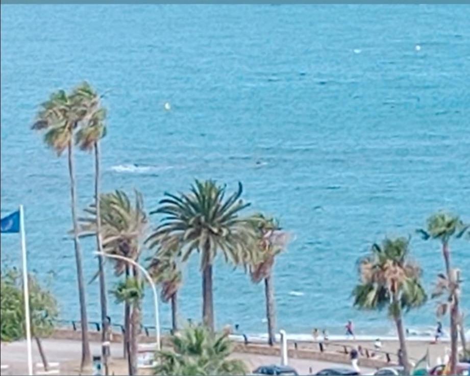 Apartment Playa!!!