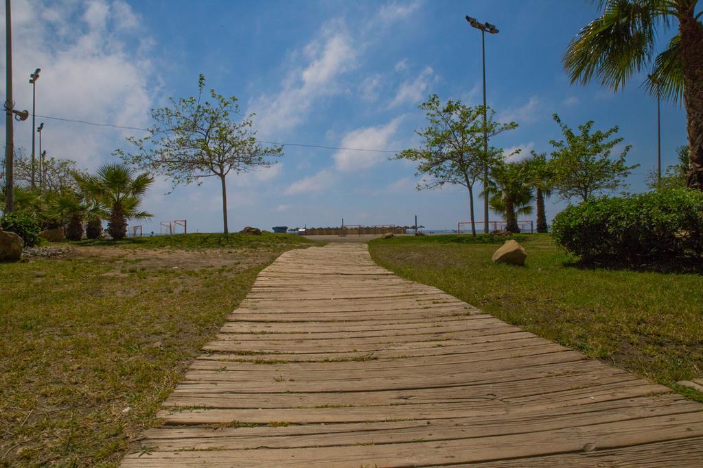 Tamarindos Ii