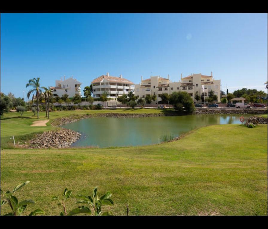 Sunny Golf
