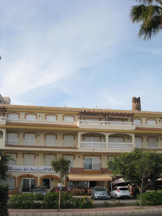 Apartment Torreon Del Mar Beach
