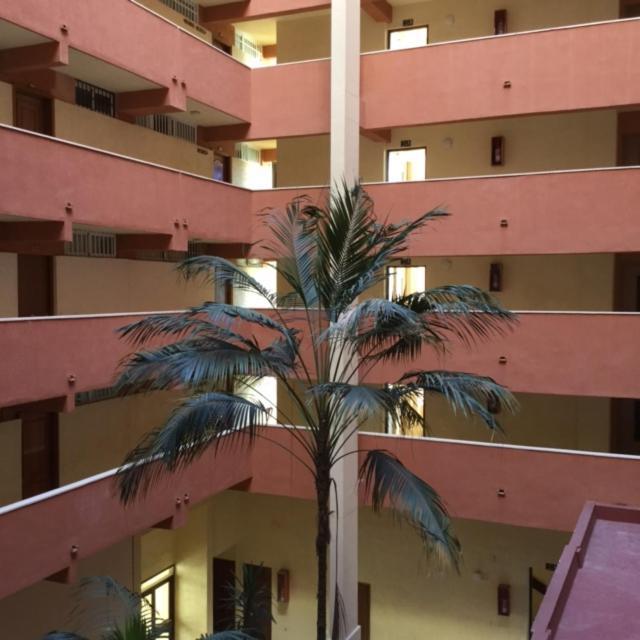 Tamarindos *