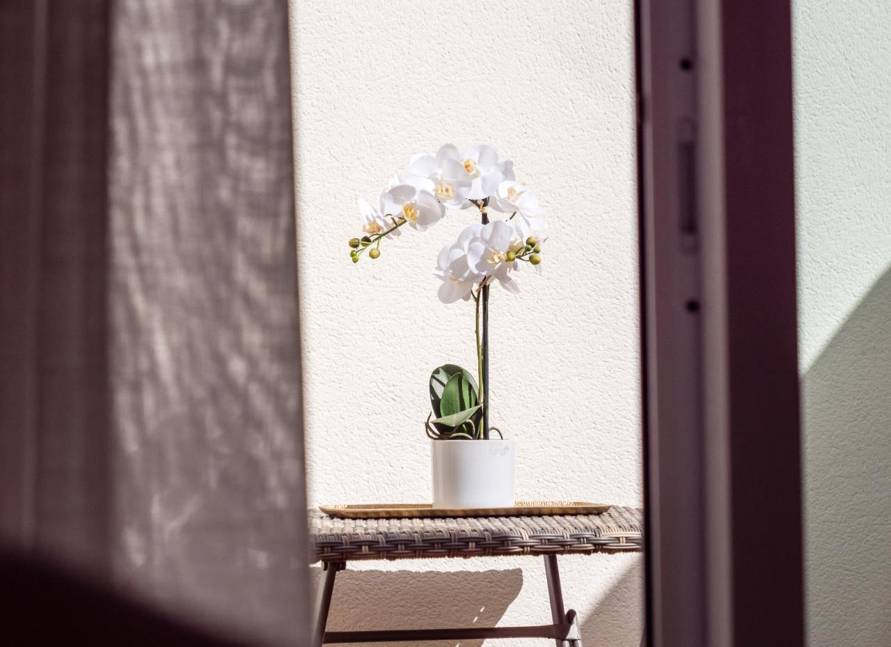Exclusive Mediterranean Terrace Appartement