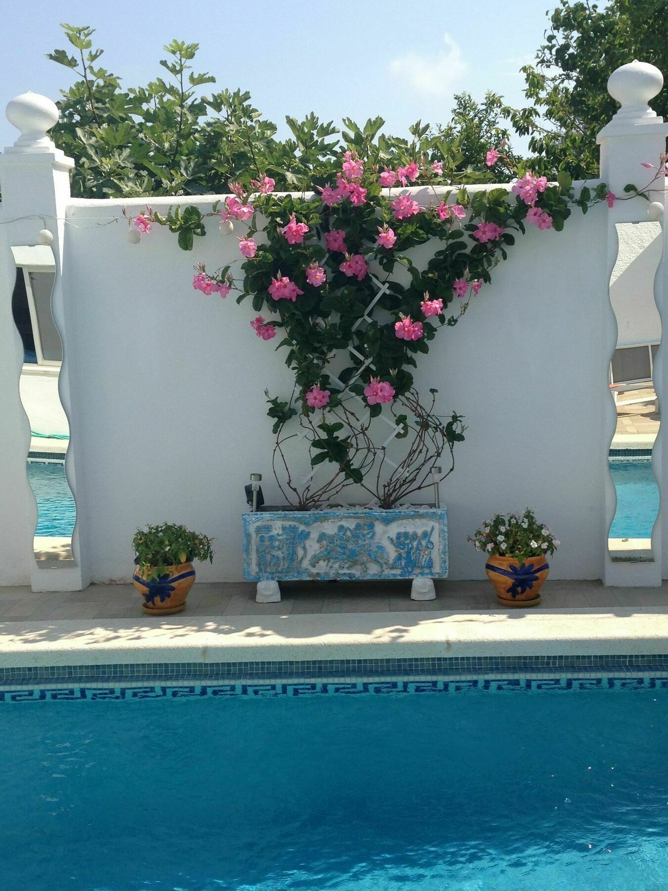 Hotel Casa Del Sol Boutique