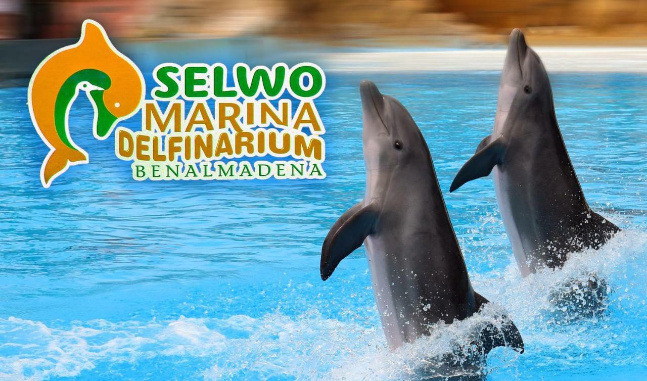 Acuario - Cozy