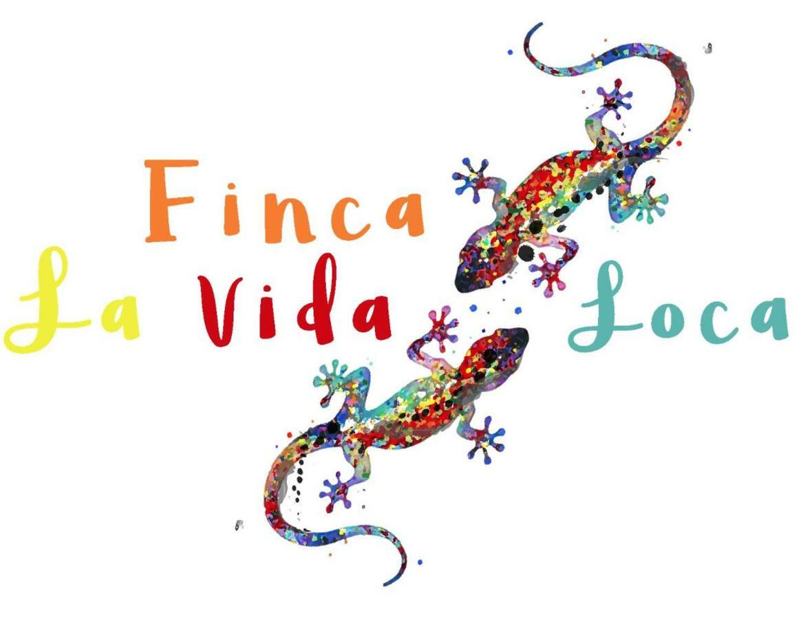 La Vida Loca - Adults Only Apartamento *