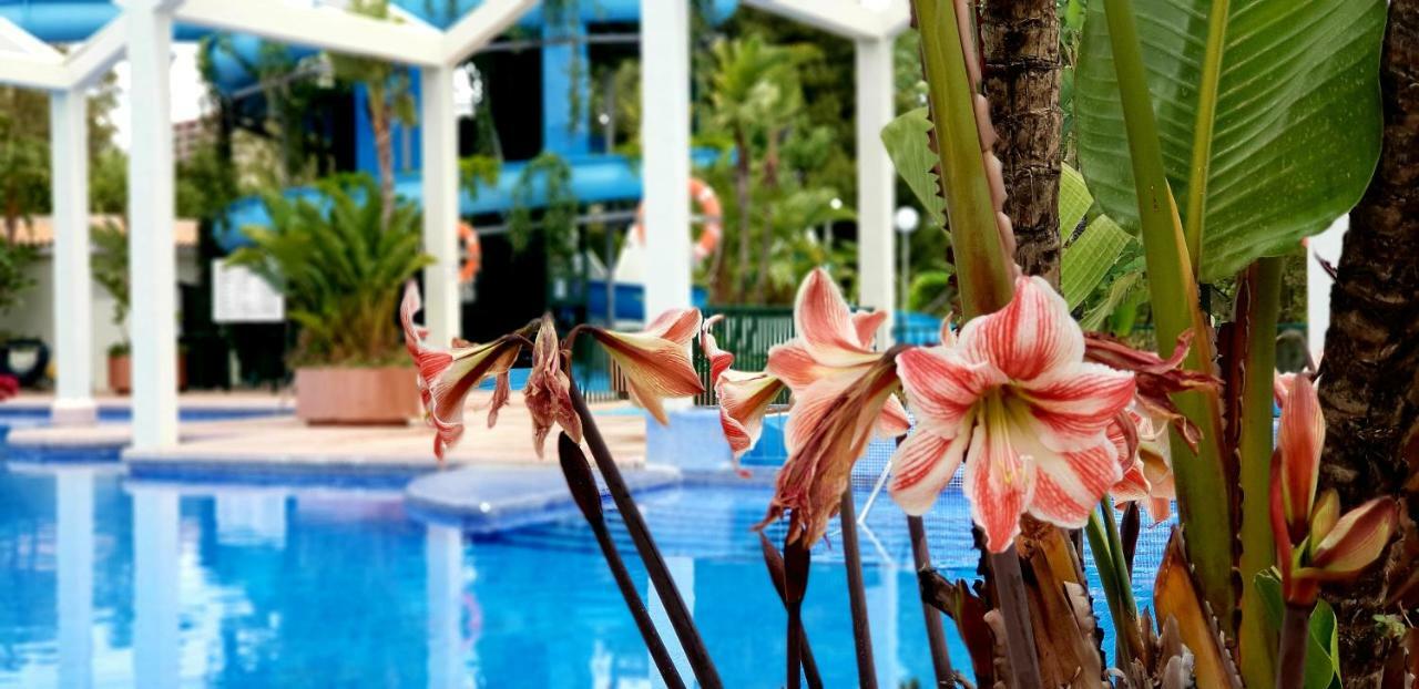 El Estudio De La Playa Benalbeach Holidays Deluxe Benalmadena