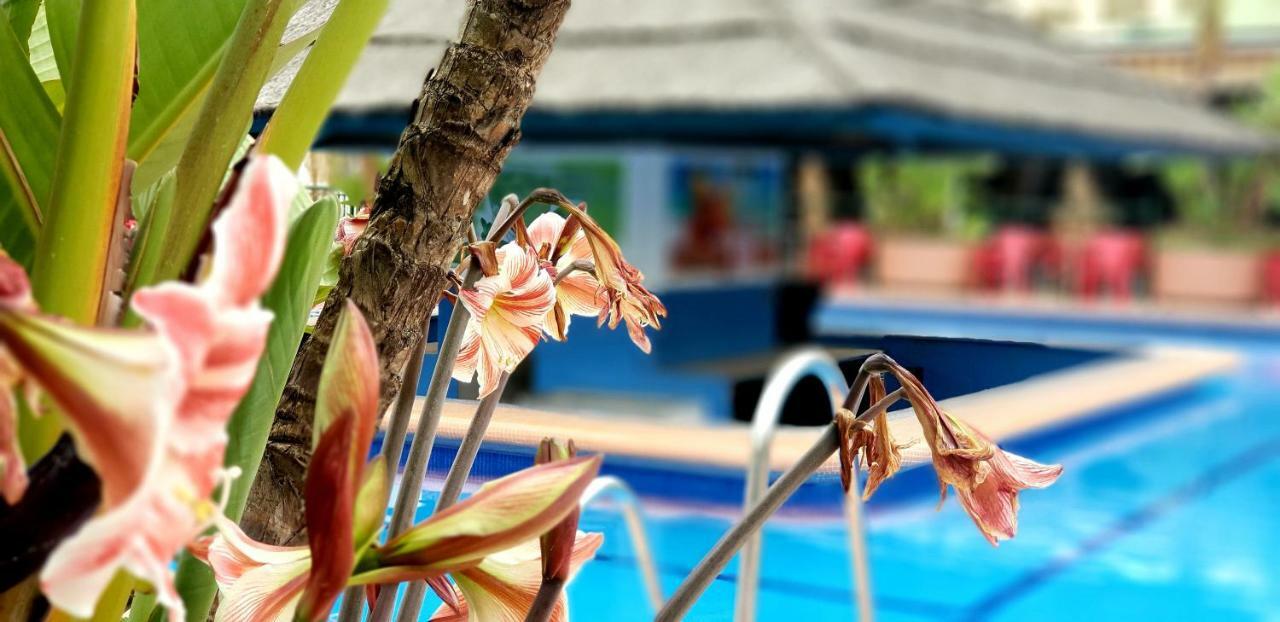 El Estudio De La Playa Benalbeach Holidays Deluxe Apartment