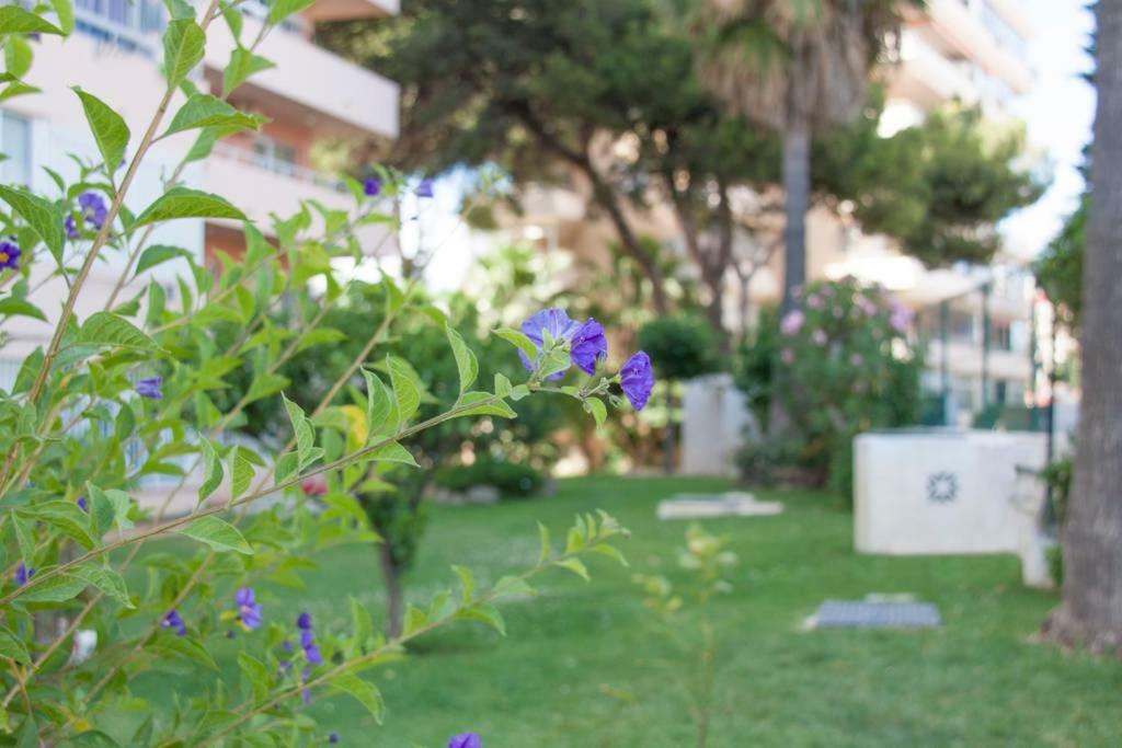 Apartment Apartamento Mar Y Sol En Benalmadena