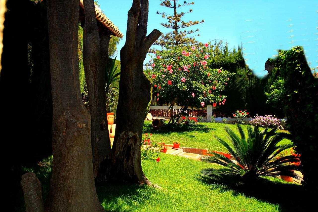 Holiday Maria Luz * Benalmadena