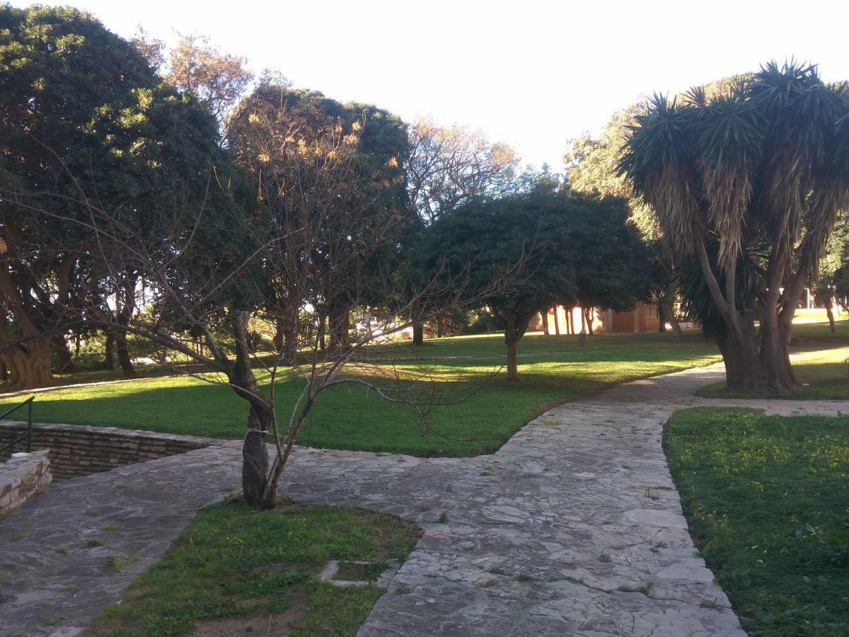 Apartment Aguila 110 *