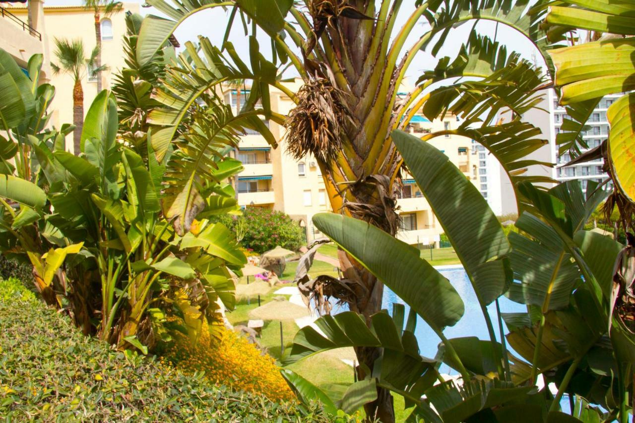 Apartamento 22-casinomar With Amazing View! 0022