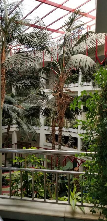 Apartment Totally Upgraded At Benal Benalmadena