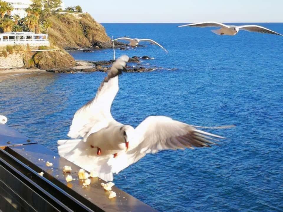 Apartment Malibu Playa Benalmadena