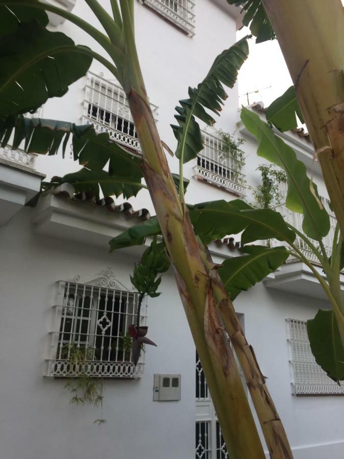 Edificio Cielomar Apartment