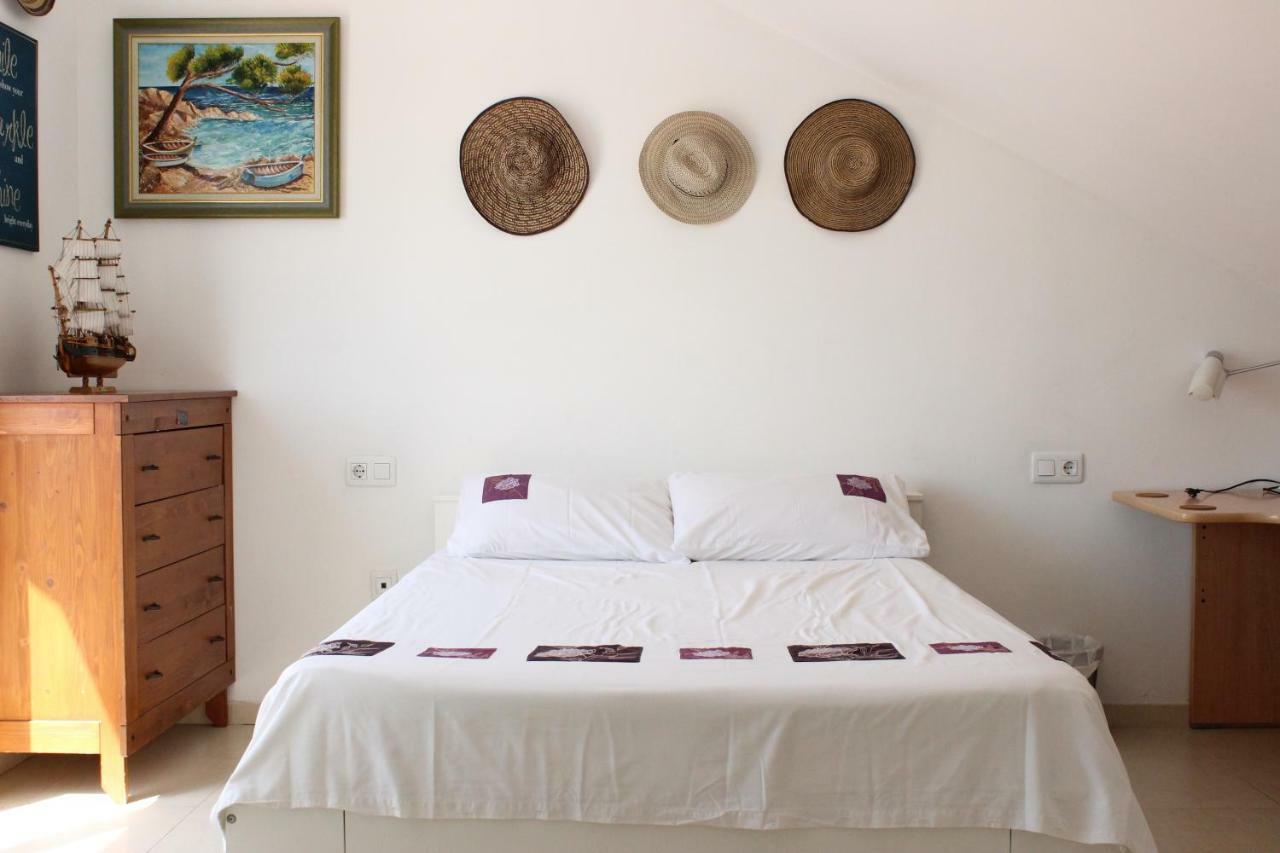 Homestay Newly Renovated Discover The Truth About Our Beautiful Oceanfront In Recent Renovations And New Management Ensure An Unforgettable Book Now And Experience It For Yourself