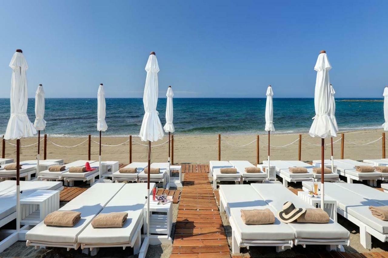 Newly Renovated Discover The Truth About Our Beautiful Oceanfront In Recent Renovations And New Management Ensure An Unforgettable Book Now And Experience It For Yourself