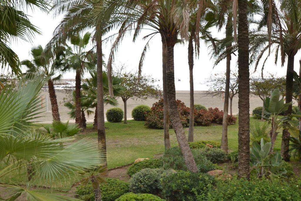 Apartment Beachfront Ole Playa