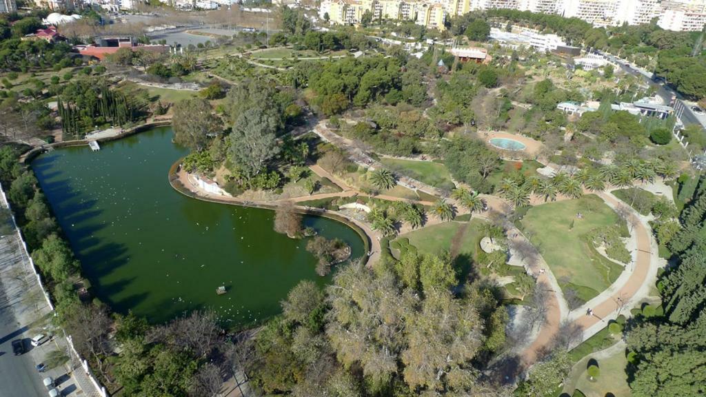 Alegranza * Benalmádena