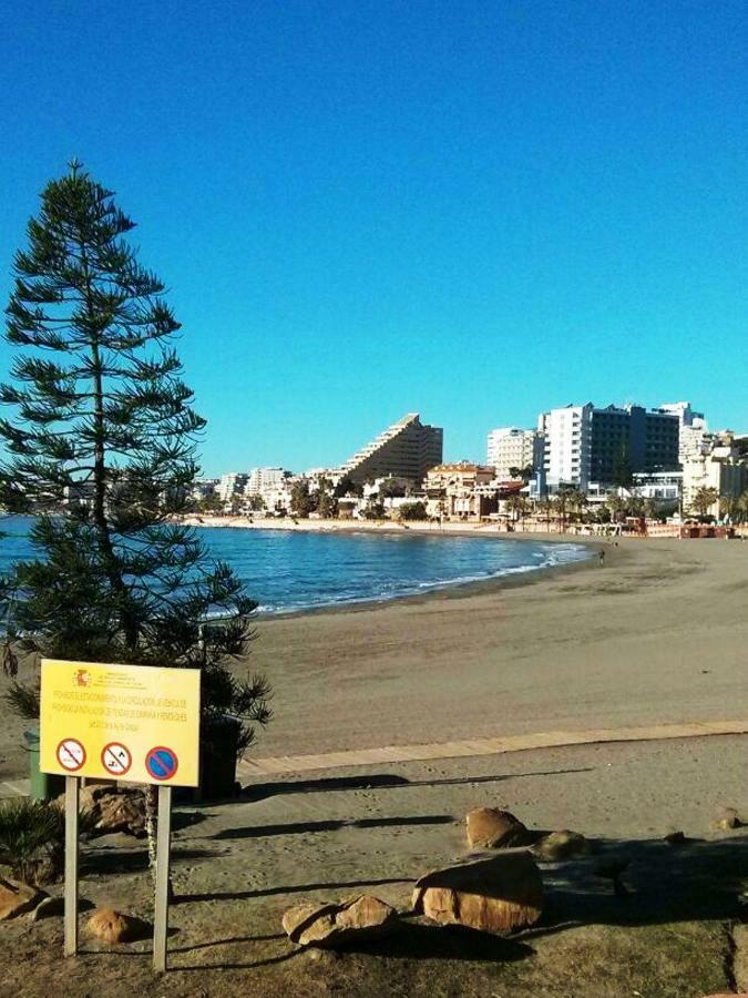 1ª Linea Playa, Edificio Diana Ii, Wifi, Puerto Marina.