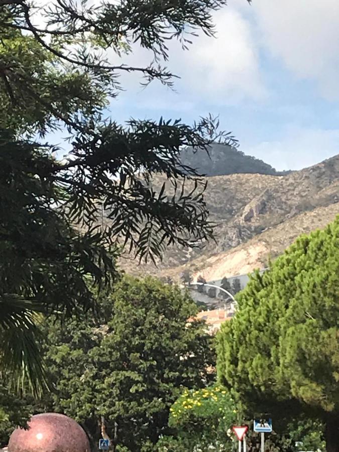 Apartamento Bajo A Avenida De Las Yedras Benalmádena