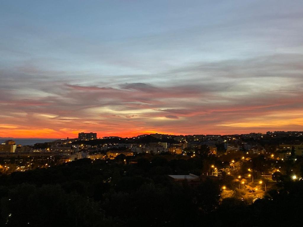 Minerva * Benalmádena