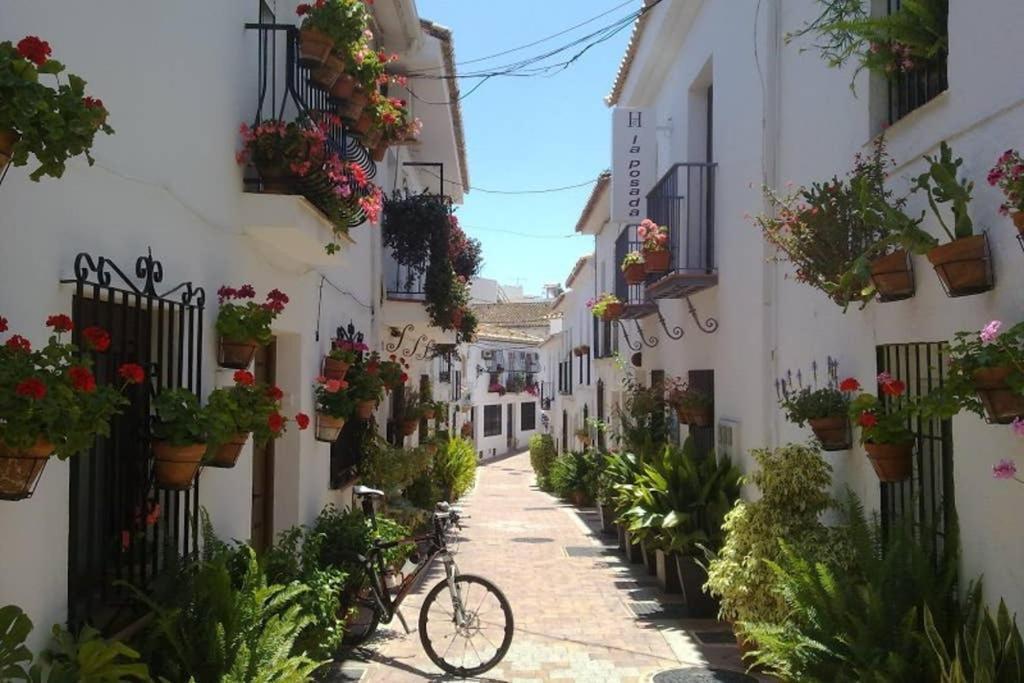 797 Holiday Rentals- Acogedor Apartamento En El Centro De Apartment