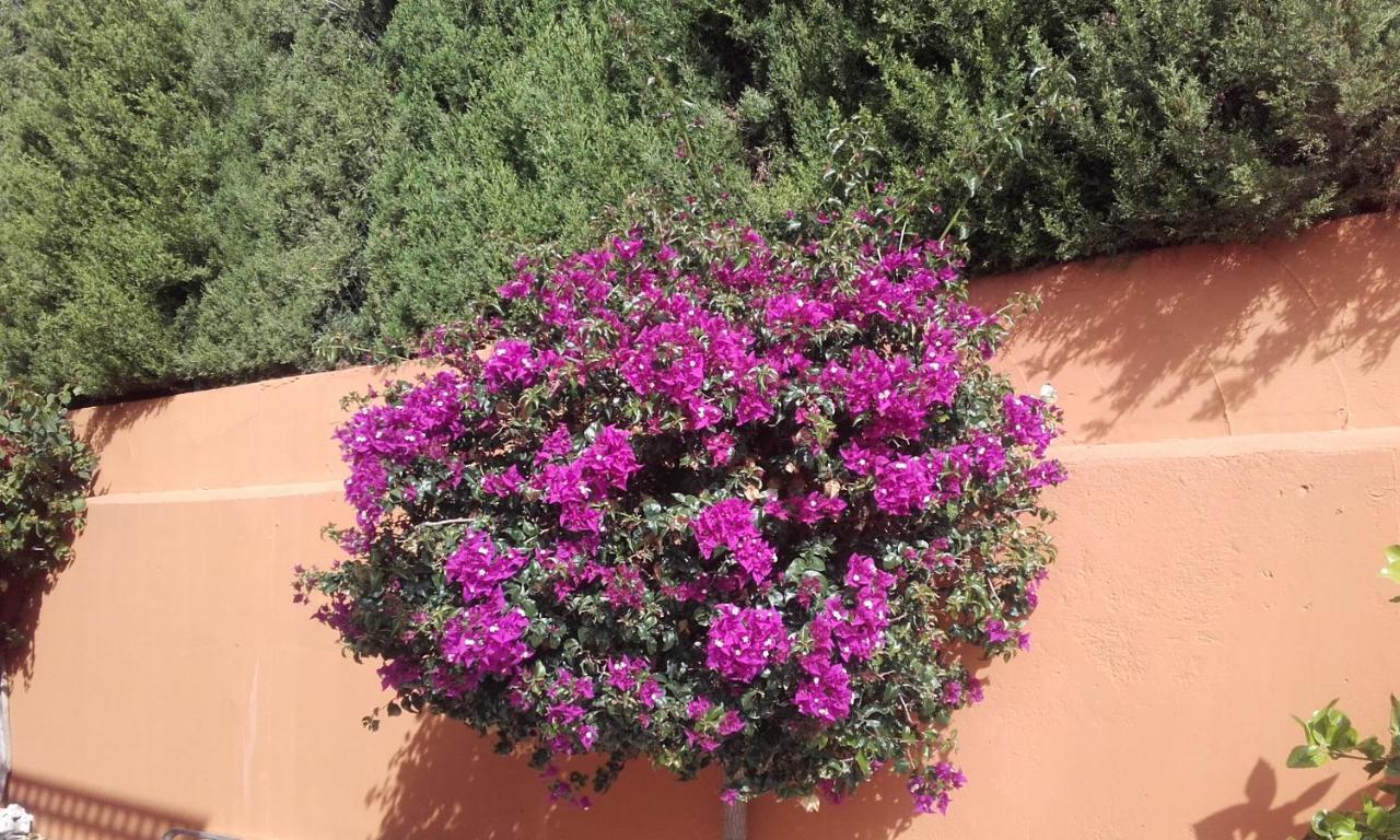 Hacienda El Retamar Villa *