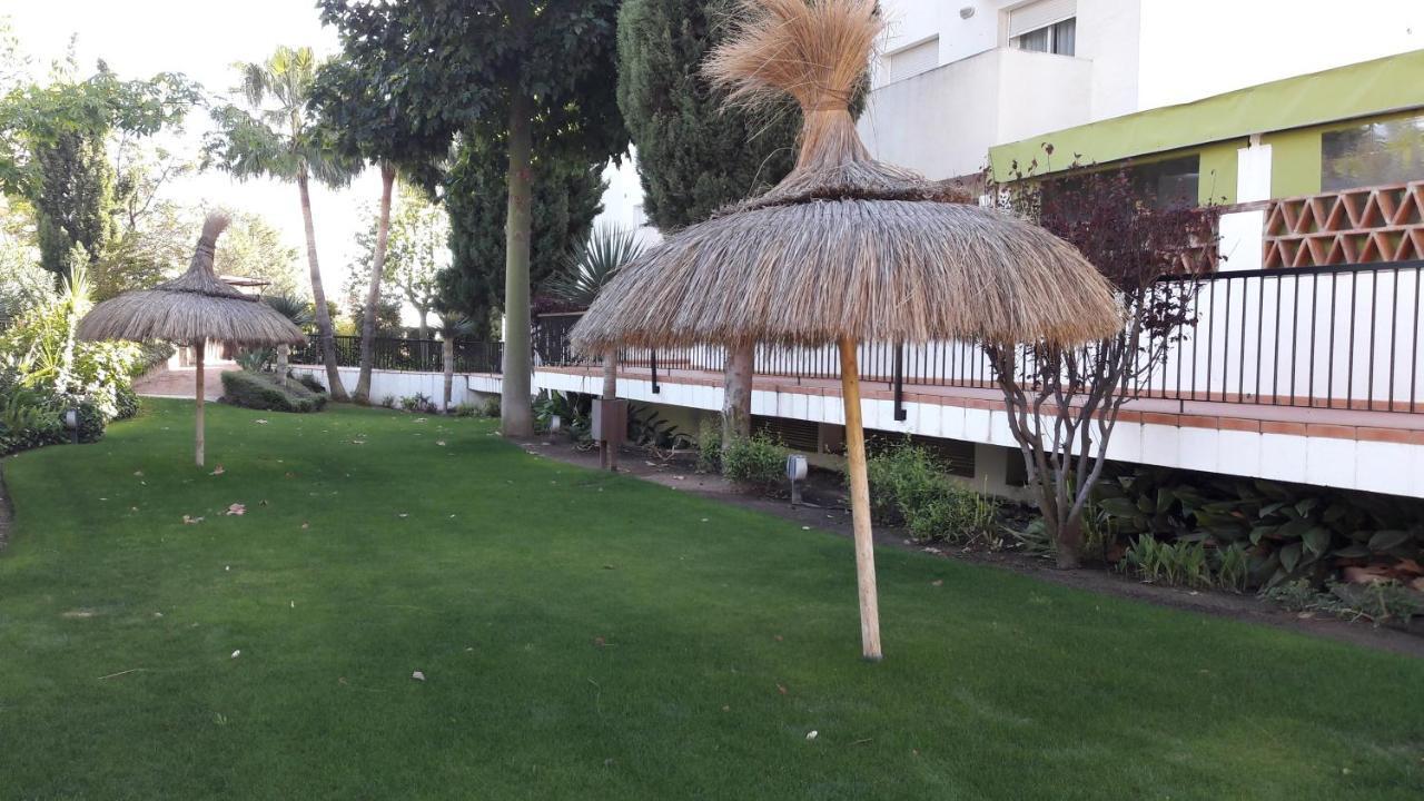 Homestay Newly Renovated Discover The Truth About Our Beautiful Oceanfront In Recent Renovations And New Management Ensure An Unforgettable Book Now And Experience It For Yourself Benalmadena