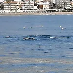 Casa Blue Sea