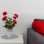 Lovely Seaview Apartment