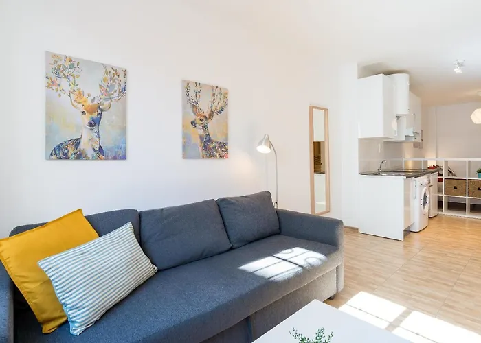 Modern Studio Apartments Benalmadena