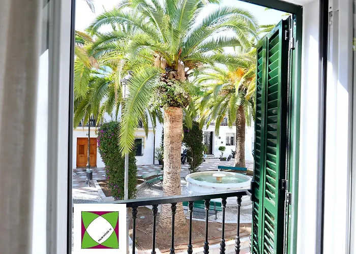 Palm House 10